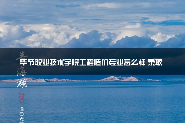 毕节职业技术学院工程造价专业怎么样 录取分数线多少