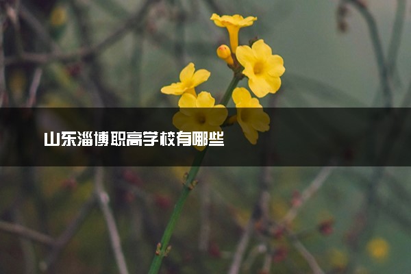 山东淄博职高学校有哪些