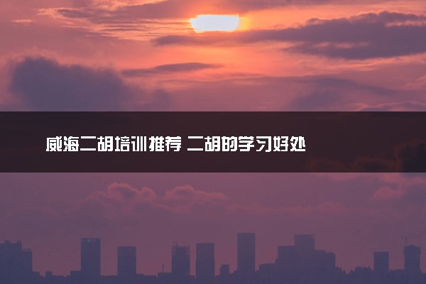 威海二胡培训推荐 二胡的学习好处