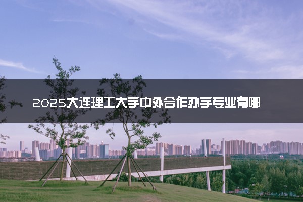2025大连理工大学中外合作办学专业有哪些 代码是什么