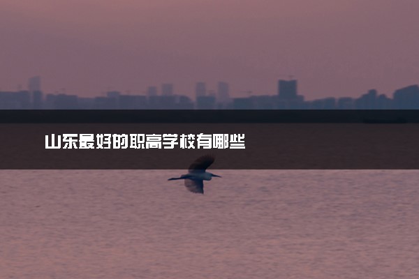 山东最好的职高学校有哪些