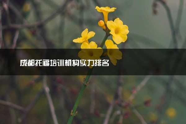 成都托福培训机构实力排名