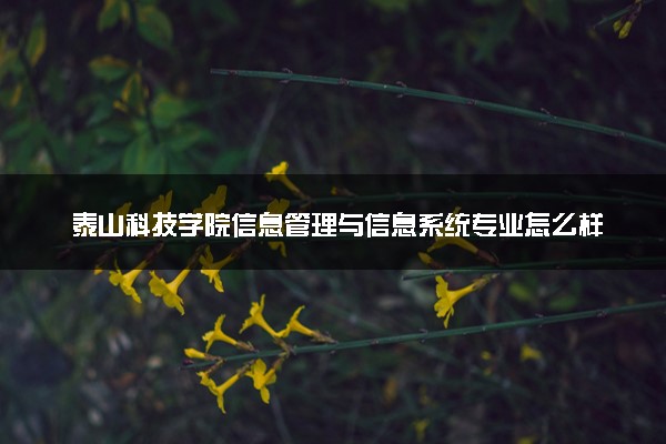 泰山科技学院信息管理与信息系统专业怎么样 录取分数线多少