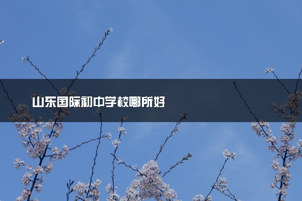 山东国际初中学校哪所好