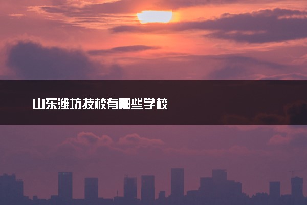 山东潍坊技校有哪些学校