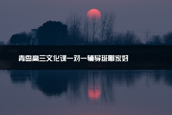 青岛高三文化课一对一辅导班哪家好