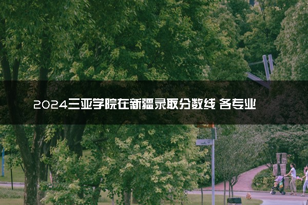 2024三亚学院在新疆录取分数线 各专业分数及位次