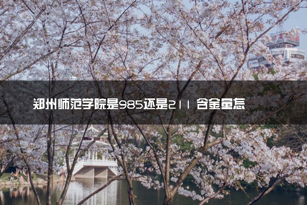 郑州师范学院是985还是211 含金量怎么样