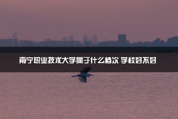 南宁职业技术大学属于什么档次 学校好不好