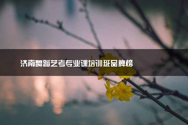 济南舞蹈艺考专业课培训班品牌榜
