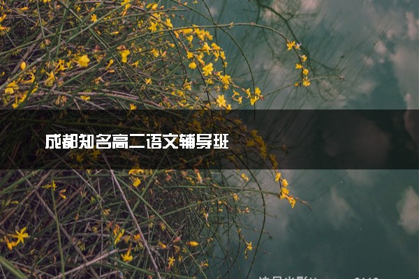 成都知名高二语文辅导班