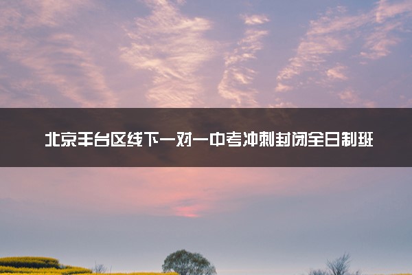 北京丰台区线下一对一中考冲刺封闭全日制班数学老师推荐