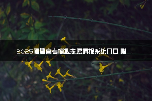 2025福建高考模拟志愿填报系统入口 附填报时间及流程