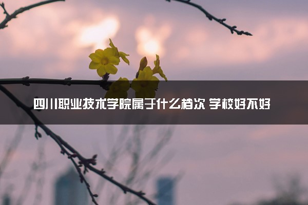 四川职业技术学院属于什么档次 学校好不好