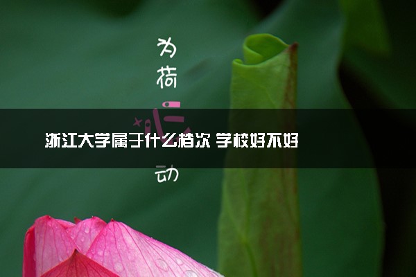 浙江大学属于什么档次 学校好不好