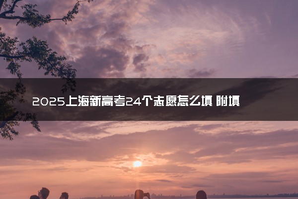 2025上海新高考24个志愿怎么填 附填报规则及志愿样表