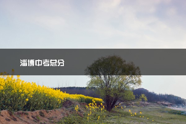 淄博中考总分