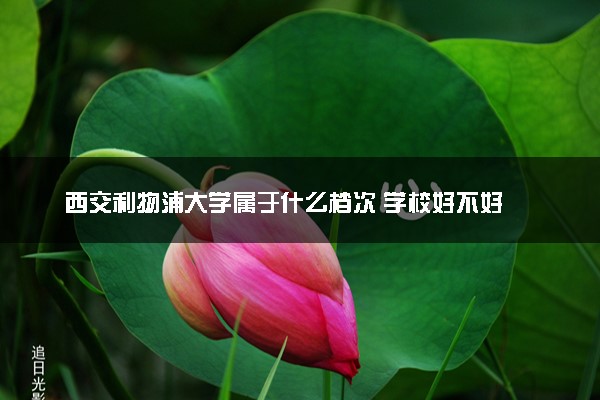 西交利物浦大学属于什么档次 学校好不好