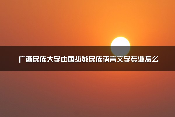 广西民族大学中国少数民族语言文学专业怎么样 录取分数线多少