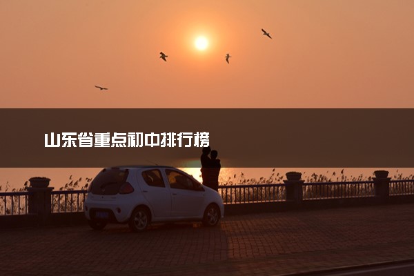 山东省重点初中排行榜