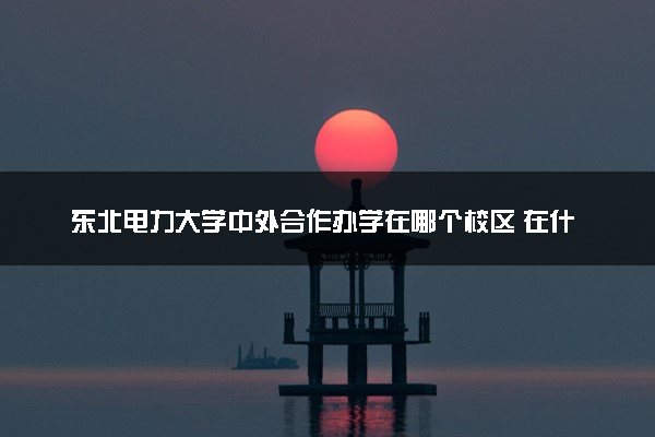 东北电力大学中外合作办学在哪个校区 在什么地方