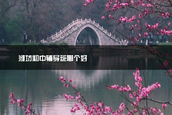 潍坊初中辅导班哪个好
