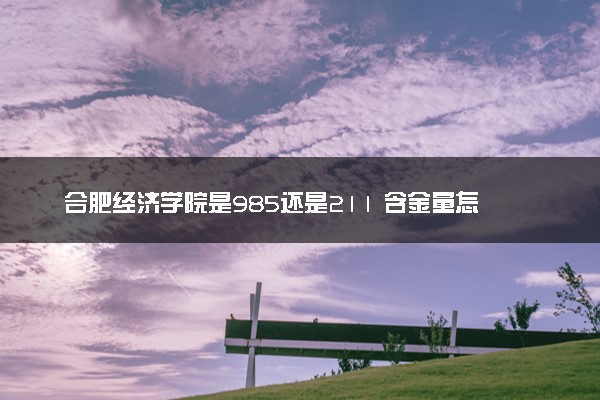 合肥经济学院是985还是211 含金量怎么样