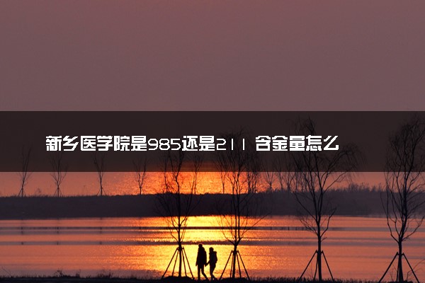 新乡医学院是985还是211 含金量怎么样