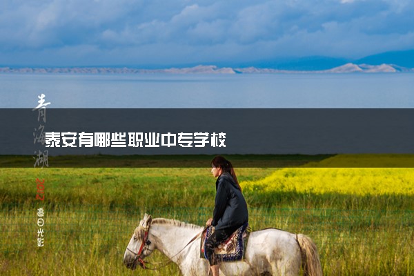 泰安有哪些职业中专学校