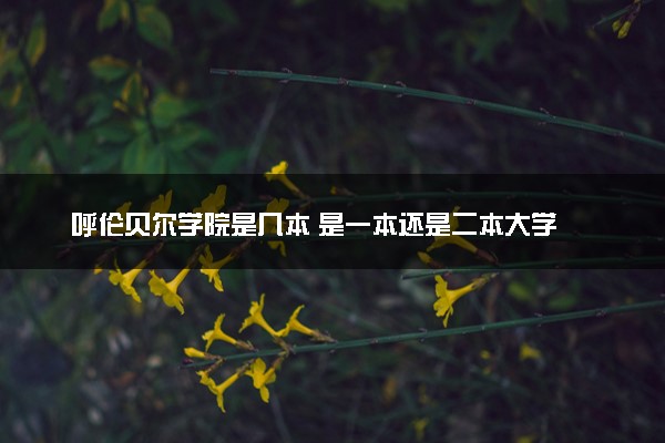 呼伦贝尔学院是几本 是一本还是二本大学