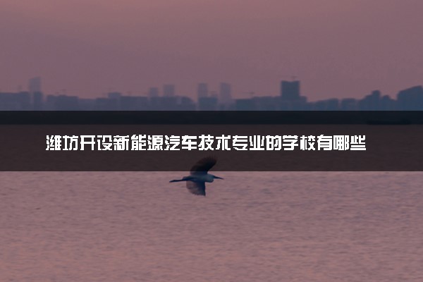 潍坊开设新能源汽车技术专业的学校有哪些