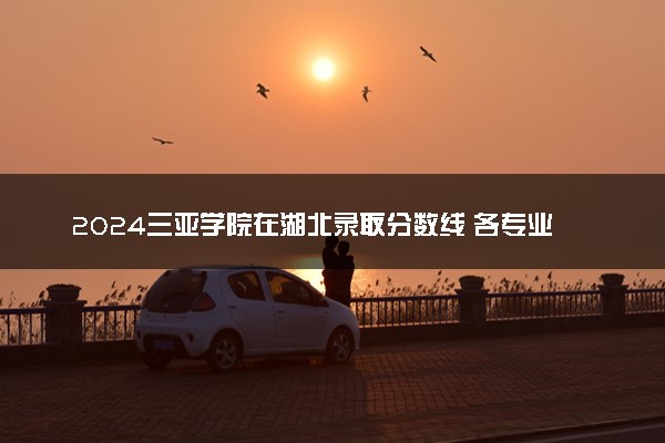 2024三亚学院在湖北录取分数线 各专业分数及位次
