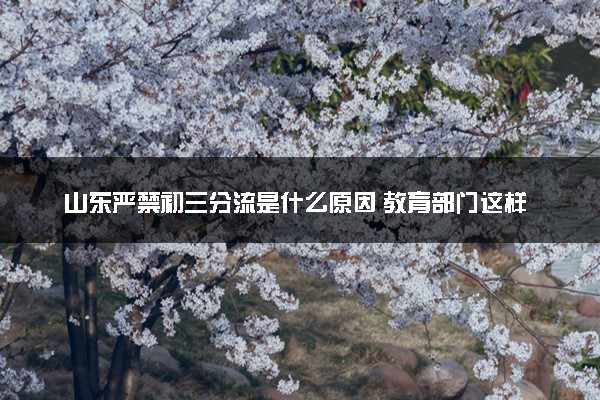山东严禁初三分流是什么原因 教育部门这样回应