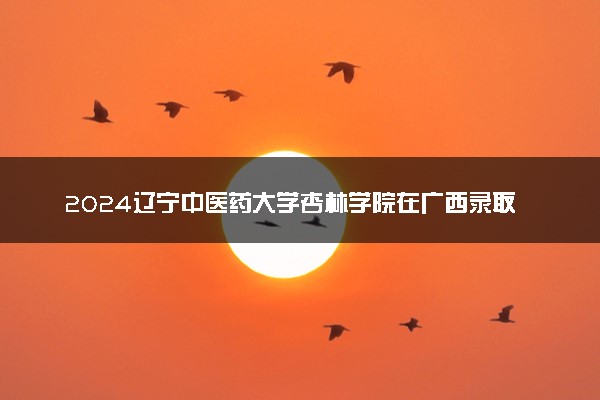 2024辽宁中医药大学杏林学院在广西录取分数线 各专业分数及位次