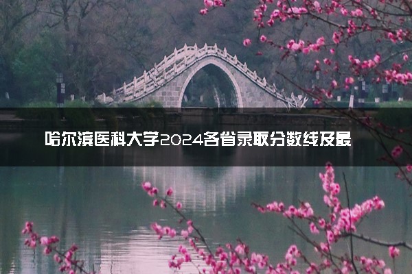 哈尔滨医科大学2024各省录取分数线及最低位次是多少