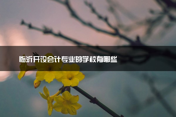 临沂开设会计专业的学校有哪些