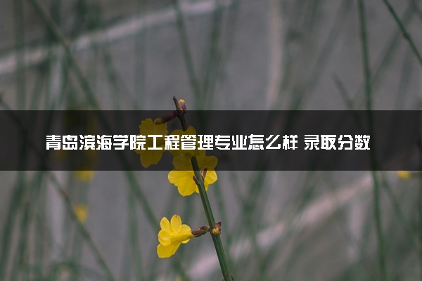 青岛滨海学院工程管理专业怎么样 录取分数线多少