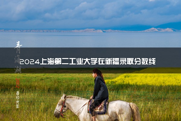 2024上海第二工业大学在新疆录取分数线 各专业分数及位次