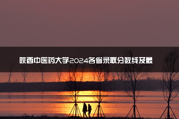 陕西中医药大学2024各省录取分数线及最低位次是多少