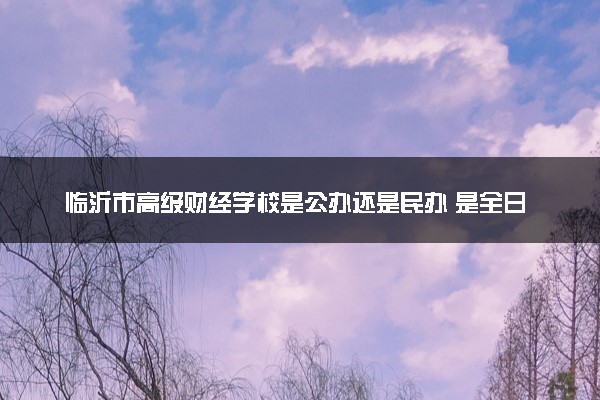 临沂市高级财经学校是公办还是民办 是全日制吗