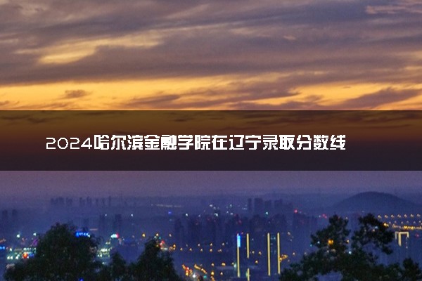 2024哈尔滨金融学院在辽宁录取分数线 各专业分数及位次