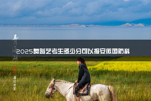 2025舞蹈艺考生多少分可以报安徽国防科技职业学院