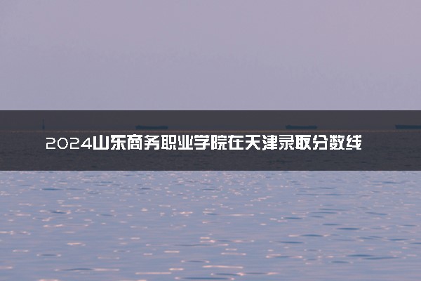 2024山东商务职业学院在天津录取分数线 各专业分数及位次
