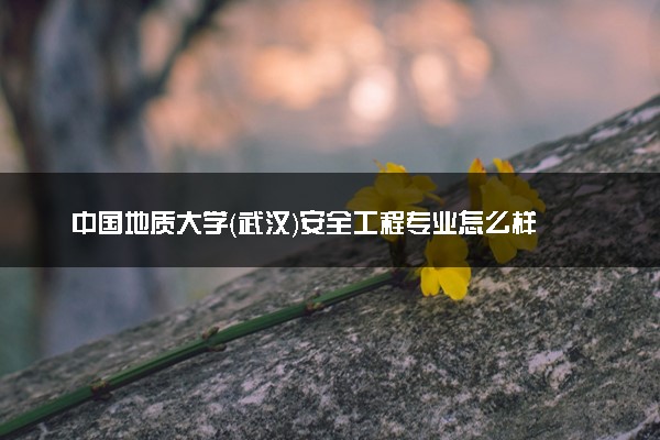 中国地质大学（武汉）安全工程专业怎么样 录取分数线多少
