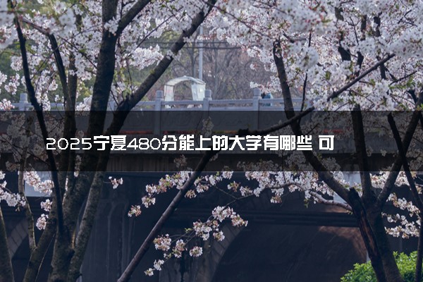 2025宁夏480分能上的大学有哪些 可以报考院校名单