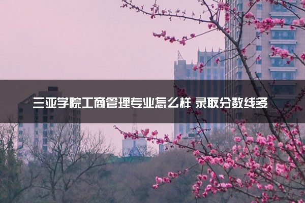 三亚学院工商管理专业怎么样 录取分数线多少