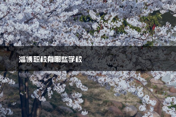 淄博职校有哪些学校