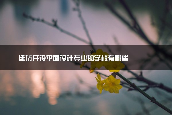 潍坊开设平面设计专业的学校有哪些