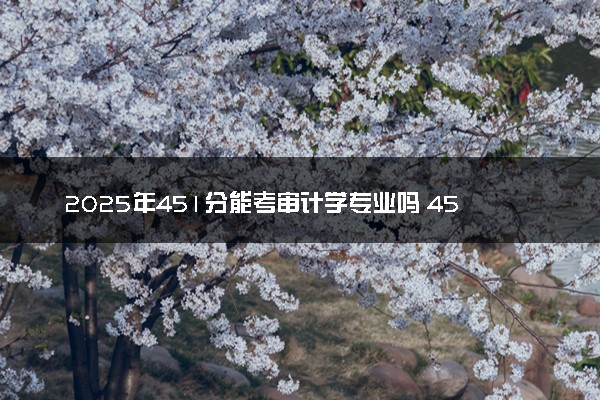 2025年451分能考审计学专业吗 451分审计学专业大学推荐