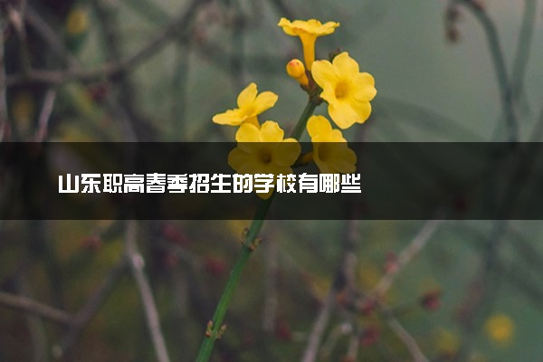 山东职高春季招生的学校有哪些
